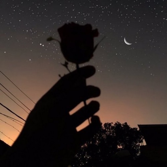 Meet your Posher, Sarai - Picture 1 of 1